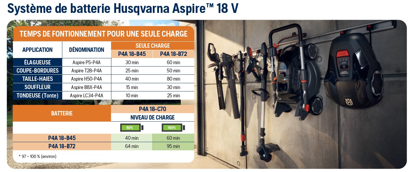 Scie de jardin à batterie HUSQVARNA ASPIRE P5-P4A PACK